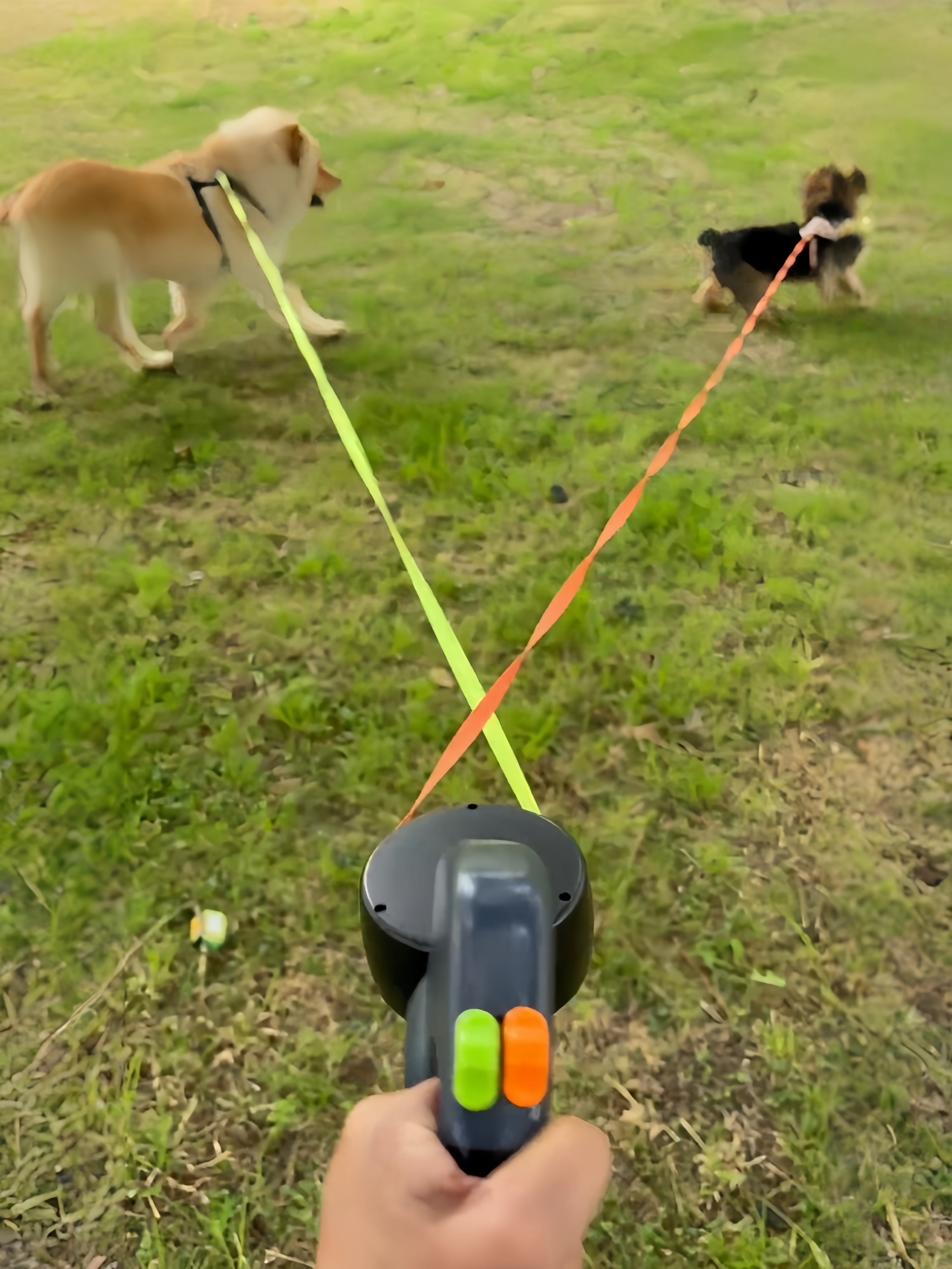 Double-ended extendable dog leash