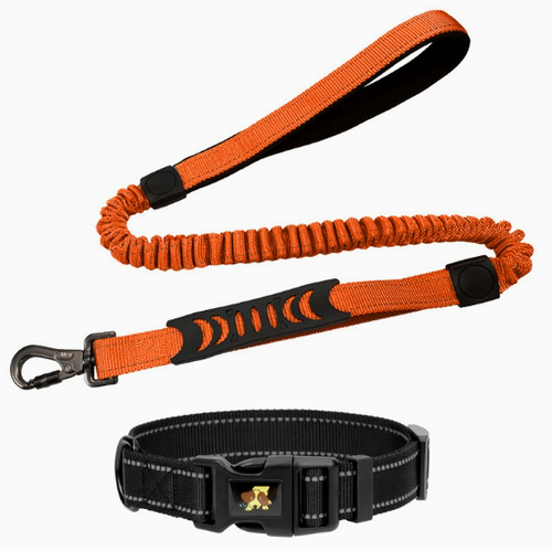 Retractable Reflective Dog Leash with Shock Absorption